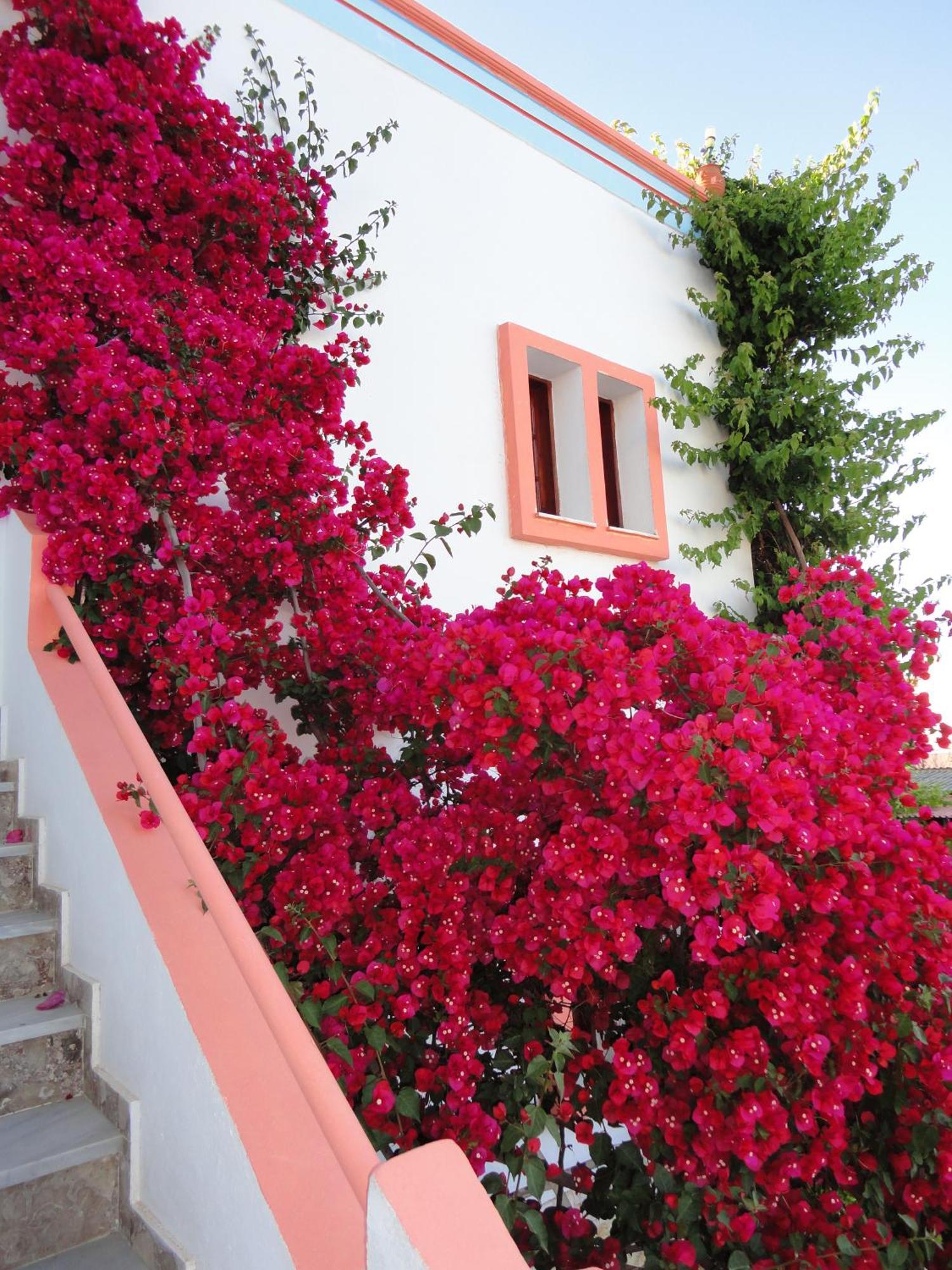 Villa Elizea ستالوس المظهر الخارجي الصورة