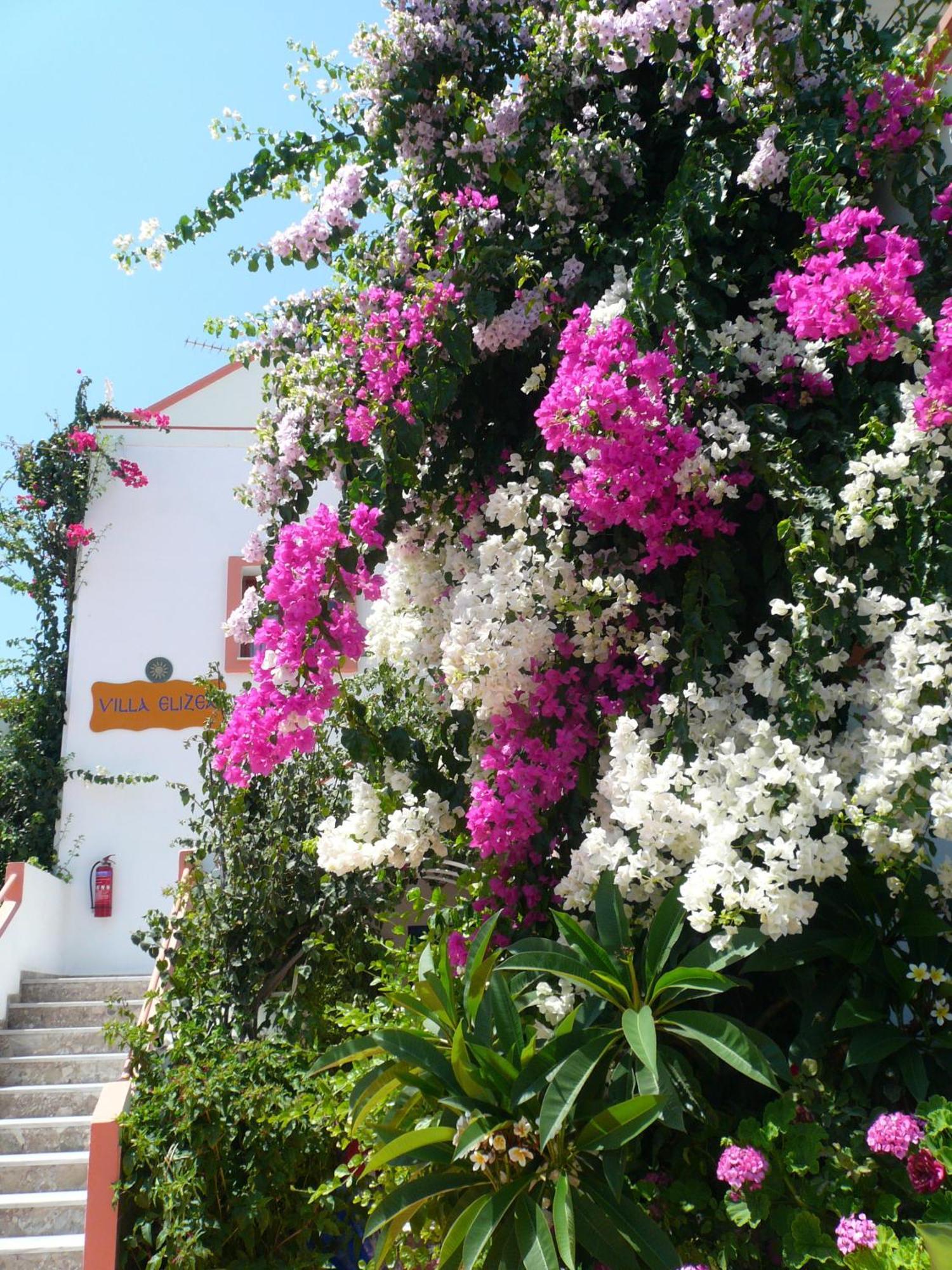 Villa Elizea ستالوس المظهر الخارجي الصورة