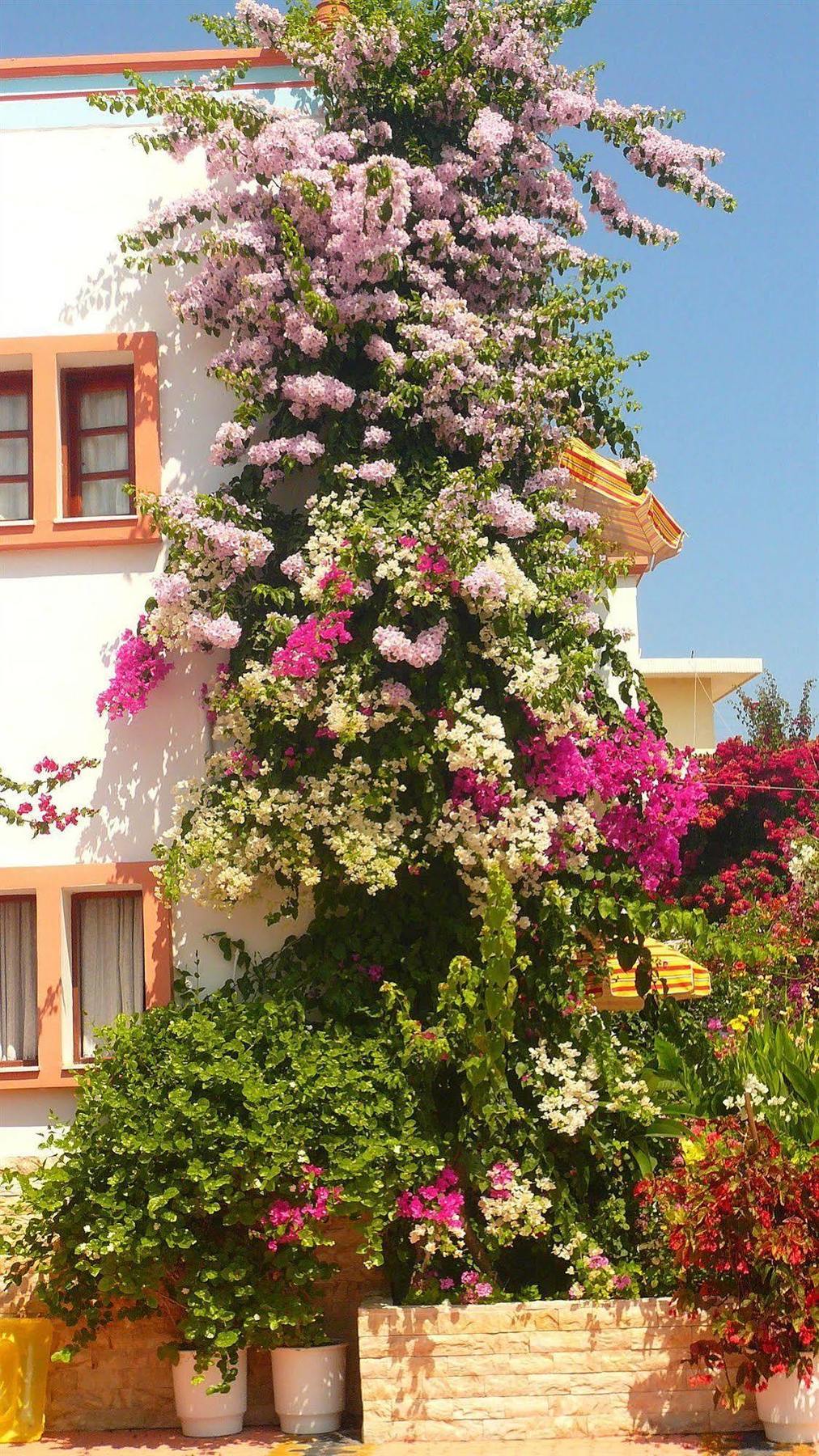 Villa Elizea ستالوس المظهر الخارجي الصورة